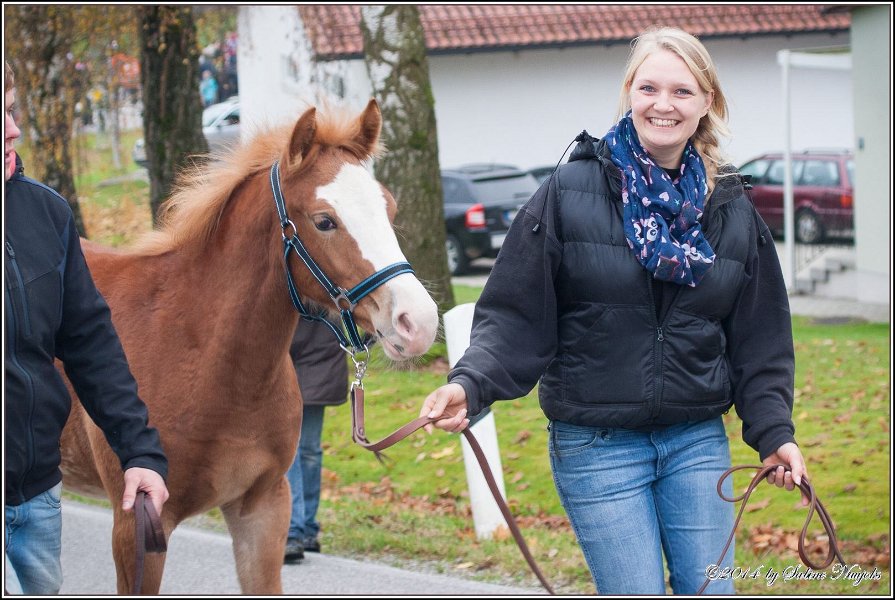 Haberskirchen 09 11 2014 046