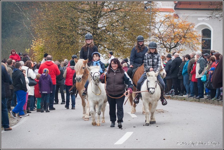 Haberskirchen 09 11 2014 061