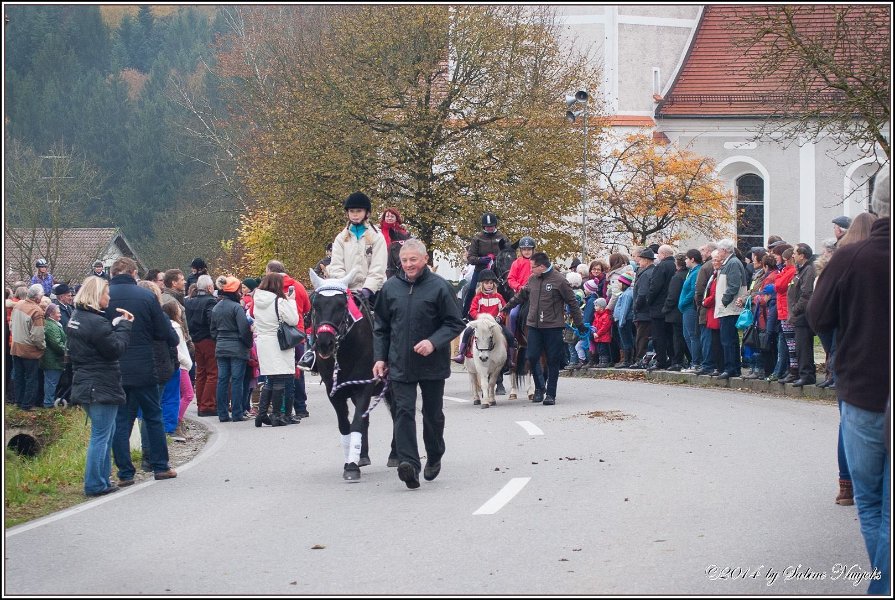 Haberskirchen 09 11 2014 063