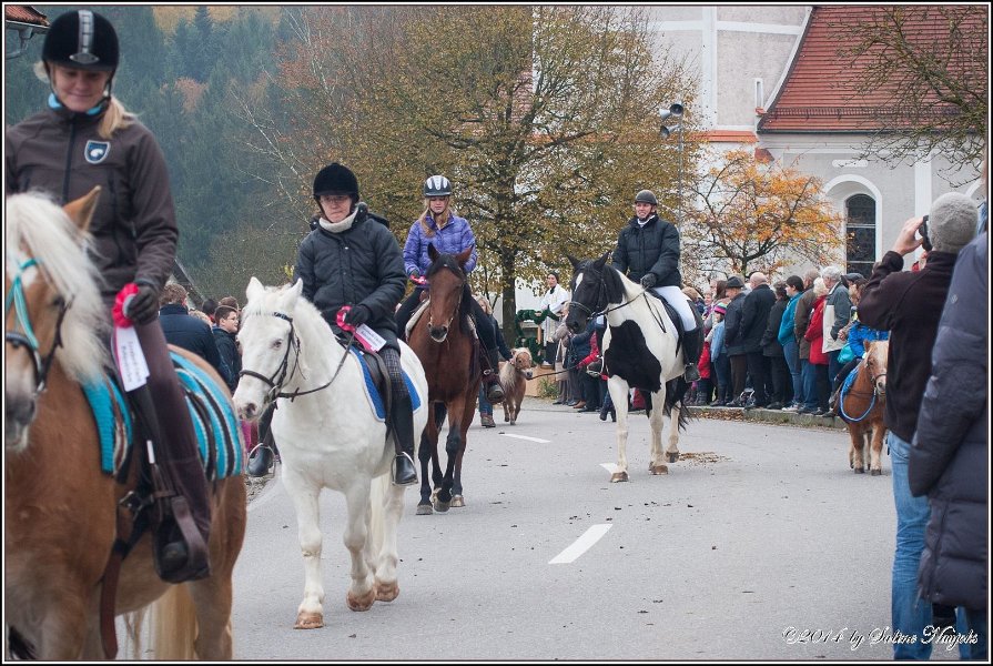 Haberskirchen 09 11 2014 069