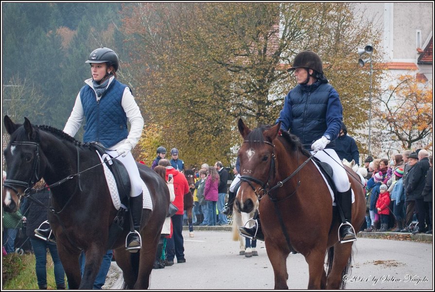 Haberskirchen 09 11 2014 073