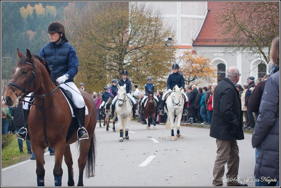 Haberskirchen 09 11 2014 074