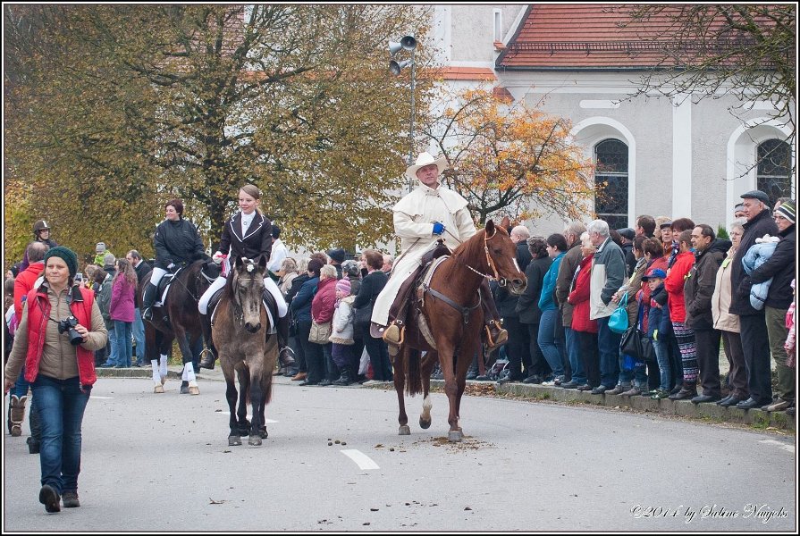 Haberskirchen 09 11 2014 078