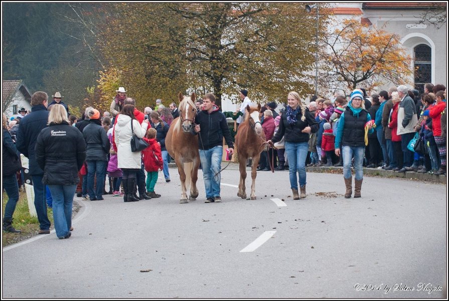 Haberskirchen 09 11 2014 087