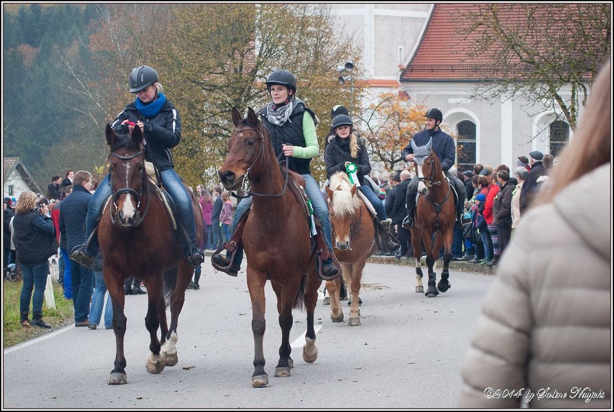 Haberskirchen 09 11 2014 100