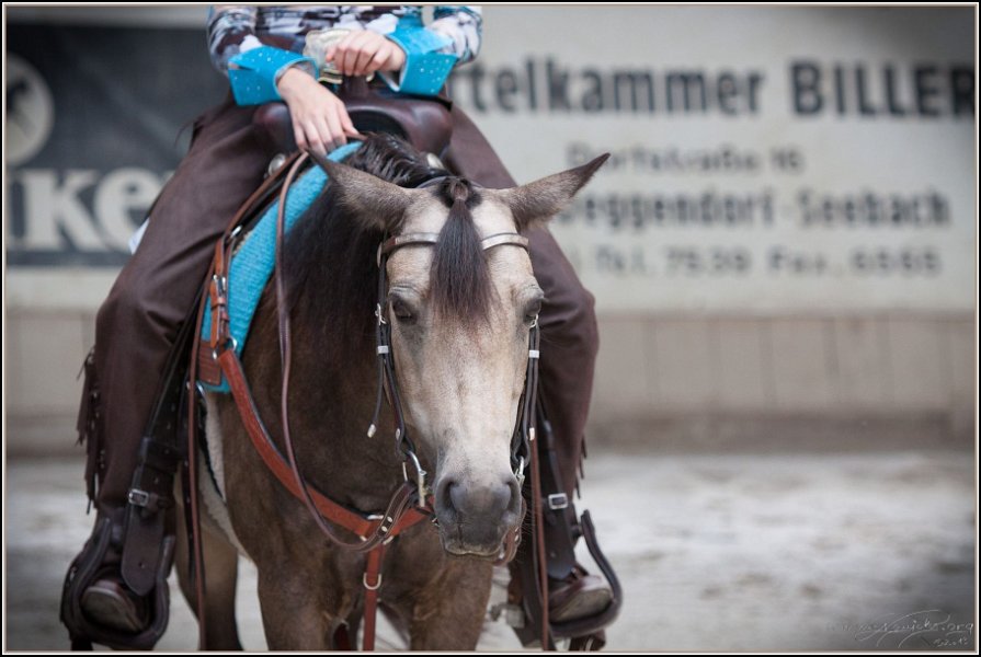 Hoschkara 2014 212