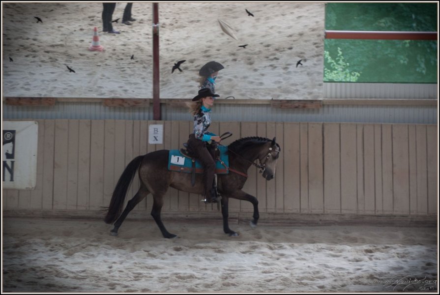 Hoschkara 2014 296