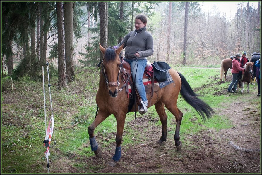RedEagle 2014 29