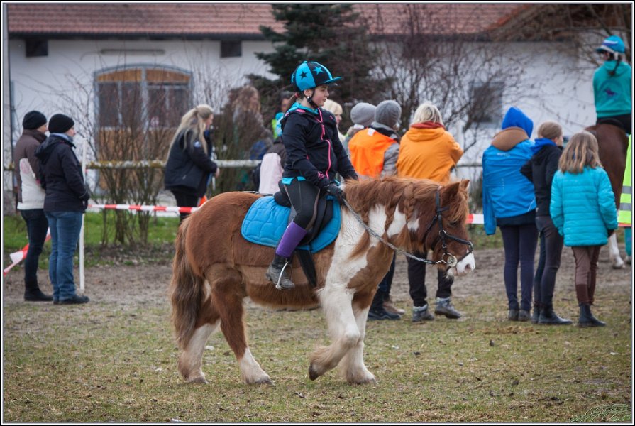 MountedGamesBayrischeMeisterschaft2015 001