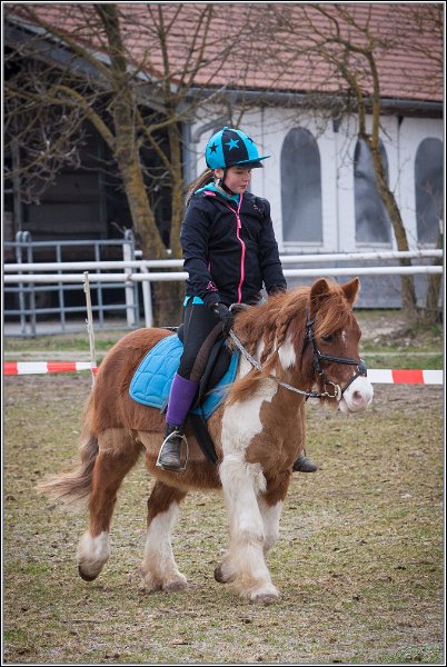 MountedGamesBayrischeMeisterschaft2015 002