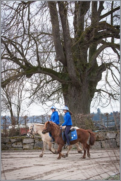 MountedGamesBayrischeMeisterschaft2015 007