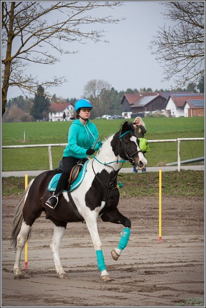 MountedGamesBayrischeMeisterschaft2015 012