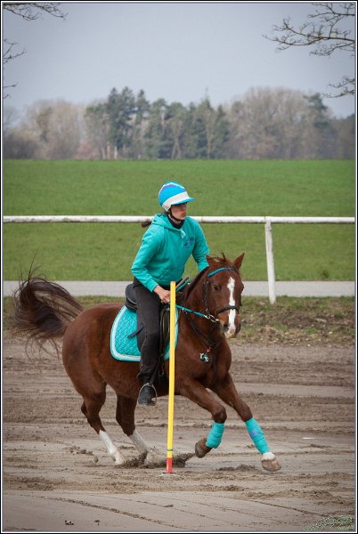 MountedGamesBayrischeMeisterschaft2015 013
