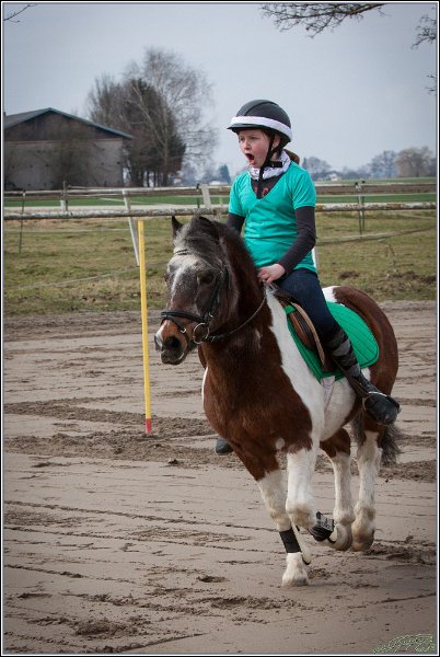 MountedGamesBayrischeMeisterschaft2015 015