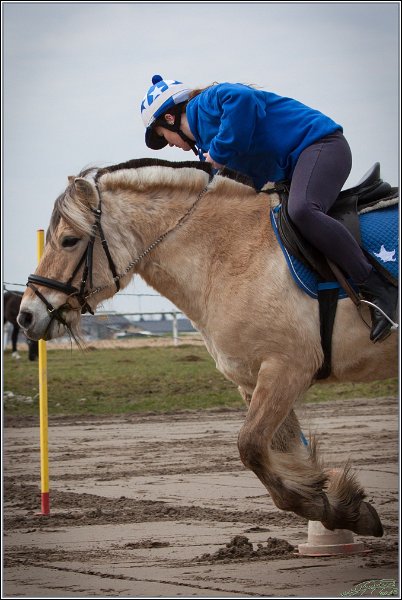 MountedGamesBayrischeMeisterschaft2015 020