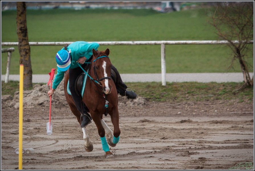 MountedGamesBayrischeMeisterschaft2015 022