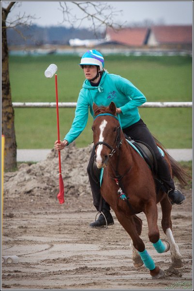 MountedGamesBayrischeMeisterschaft2015 023