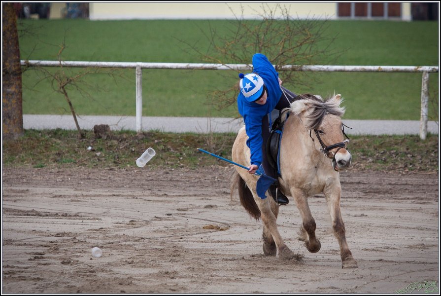 MountedGamesBayrischeMeisterschaft2015 027