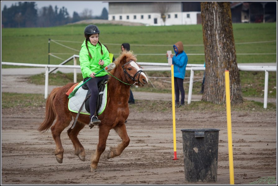 MountedGamesBayrischeMeisterschaft2015 028