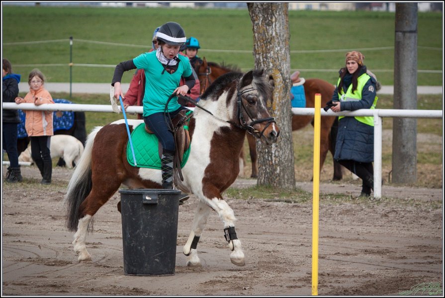 MountedGamesBayrischeMeisterschaft2015 032