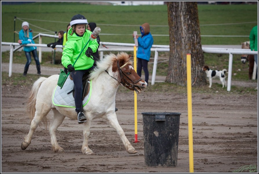 MountedGamesBayrischeMeisterschaft2015 033