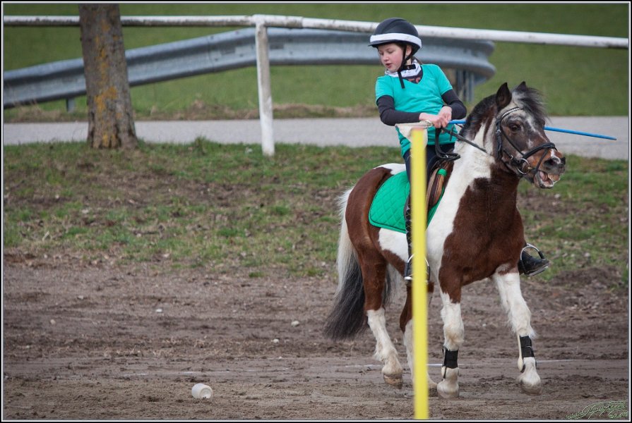 MountedGamesBayrischeMeisterschaft2015 034