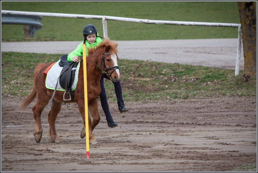 MountedGamesBayrischeMeisterschaft2015 039