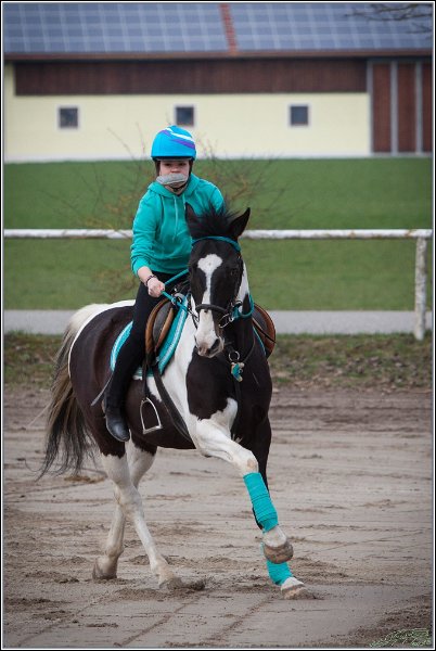 MountedGamesBayrischeMeisterschaft2015 040