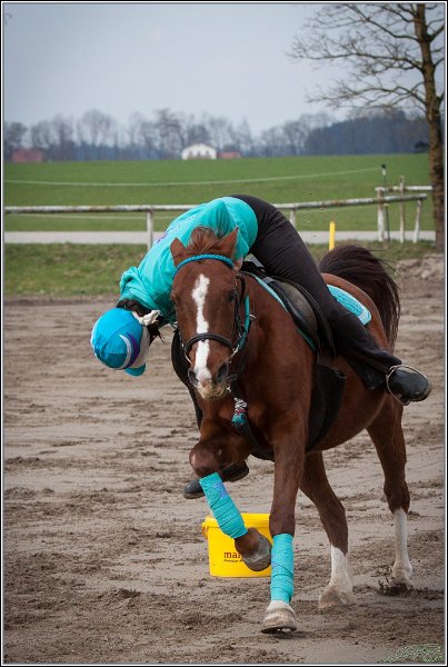 MountedGamesBayrischeMeisterschaft2015 043