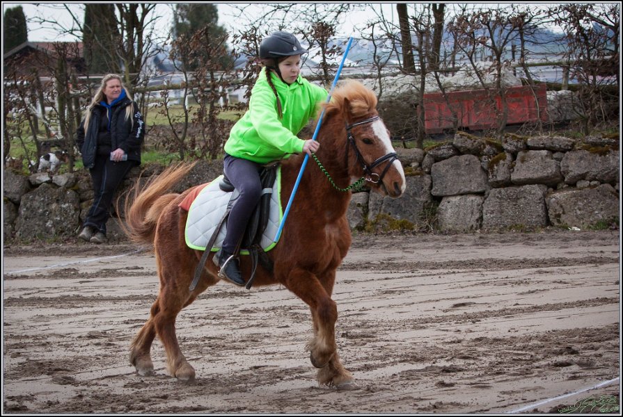 MountedGamesBayrischeMeisterschaft2015 044