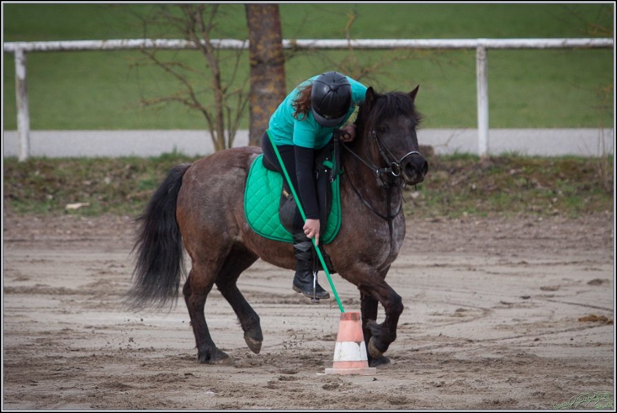 MountedGamesBayrischeMeisterschaft2015 045