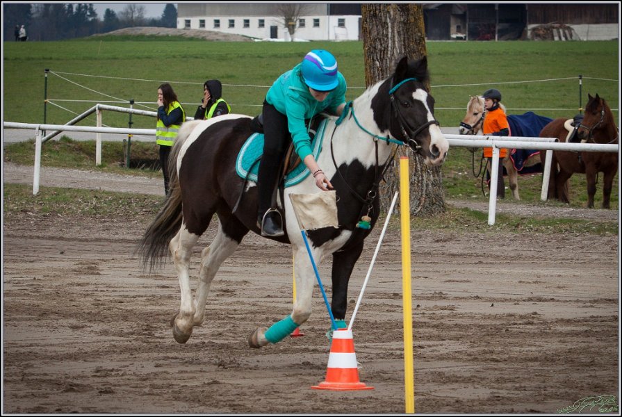 MountedGamesBayrischeMeisterschaft2015 046