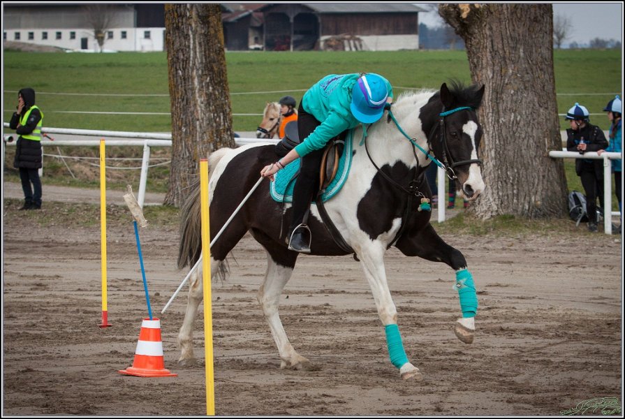 MountedGamesBayrischeMeisterschaft2015 047