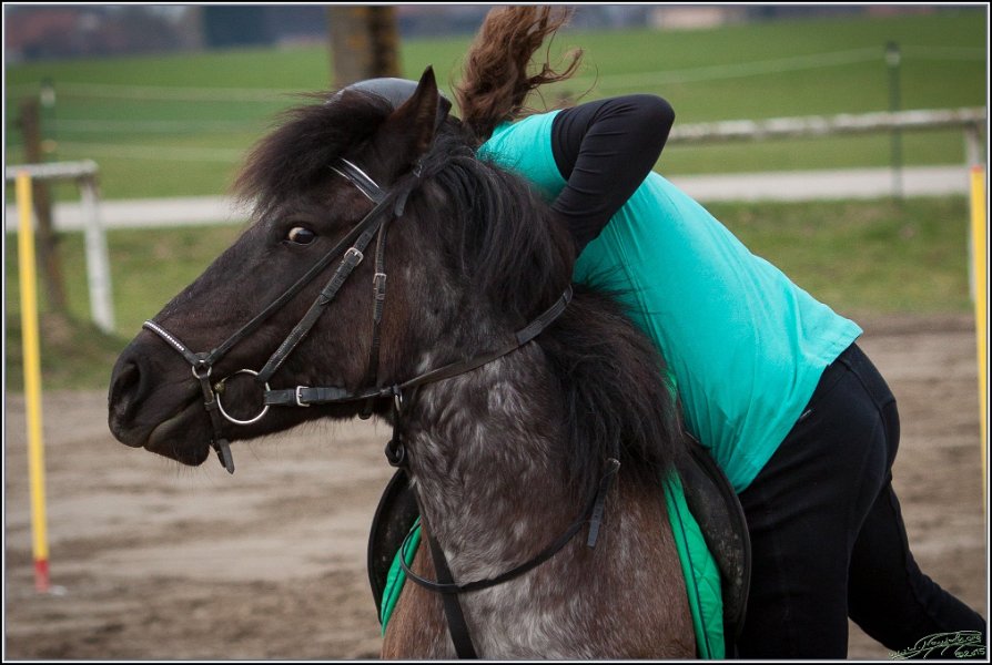 MountedGamesBayrischeMeisterschaft2015 051