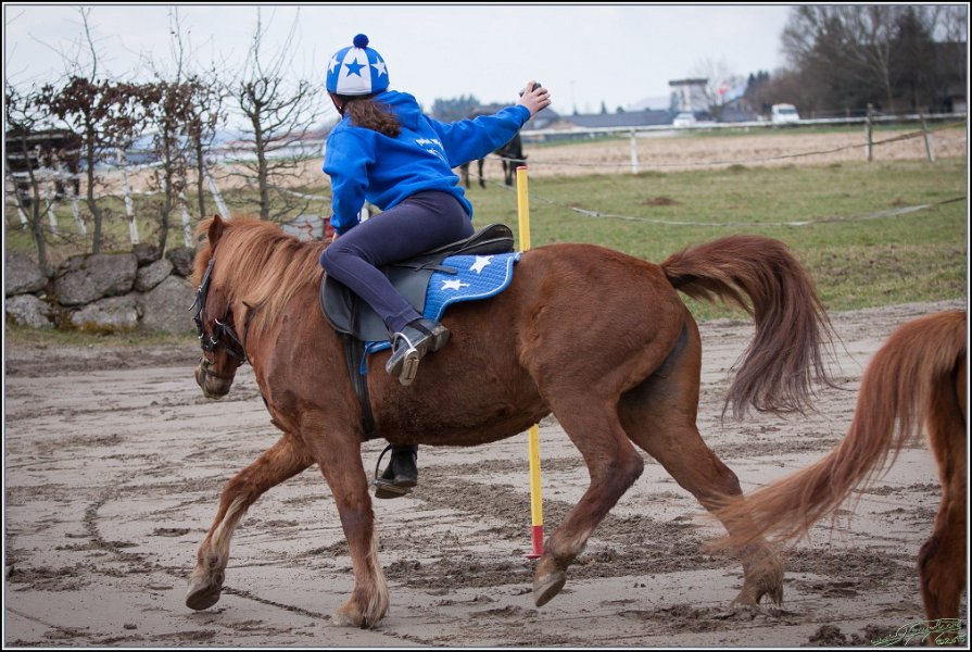 MountedGamesBayrischeMeisterschaft2015 056