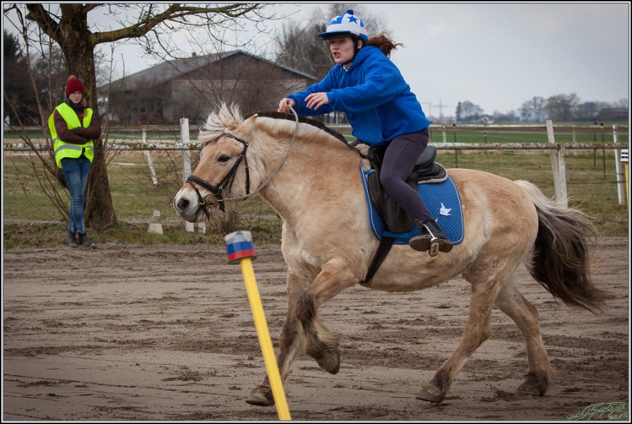 MountedGamesBayrischeMeisterschaft2015 064