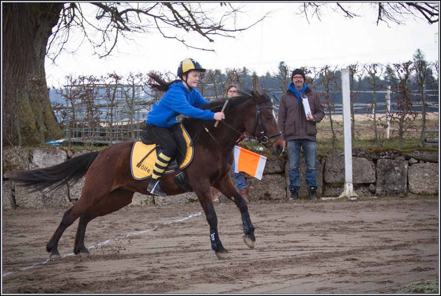 MountedGamesBayrischeMeisterschaft2015 072