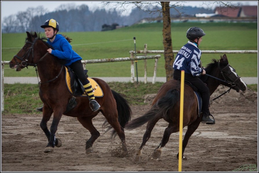 MountedGamesBayrischeMeisterschaft2015 073