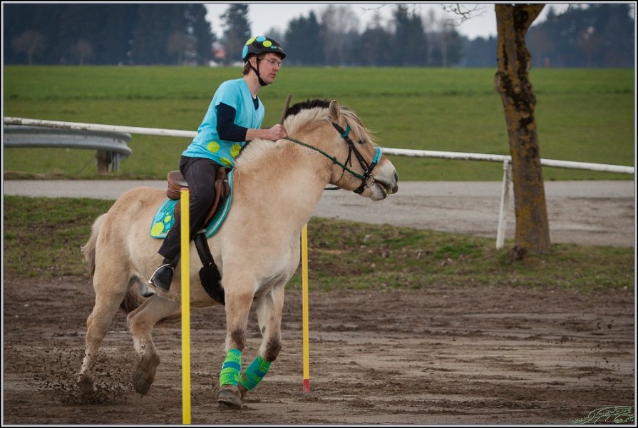 MountedGamesBayrischeMeisterschaft2015 076