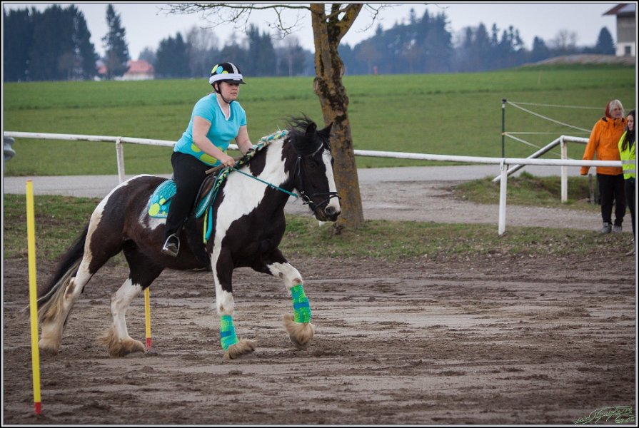 MountedGamesBayrischeMeisterschaft2015 080