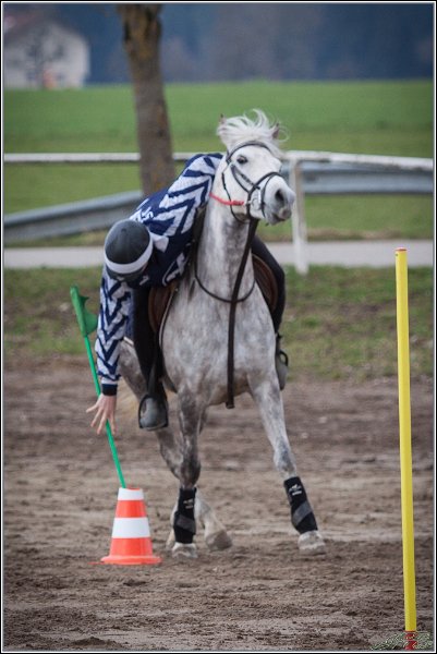 MountedGamesBayrischeMeisterschaft2015 082