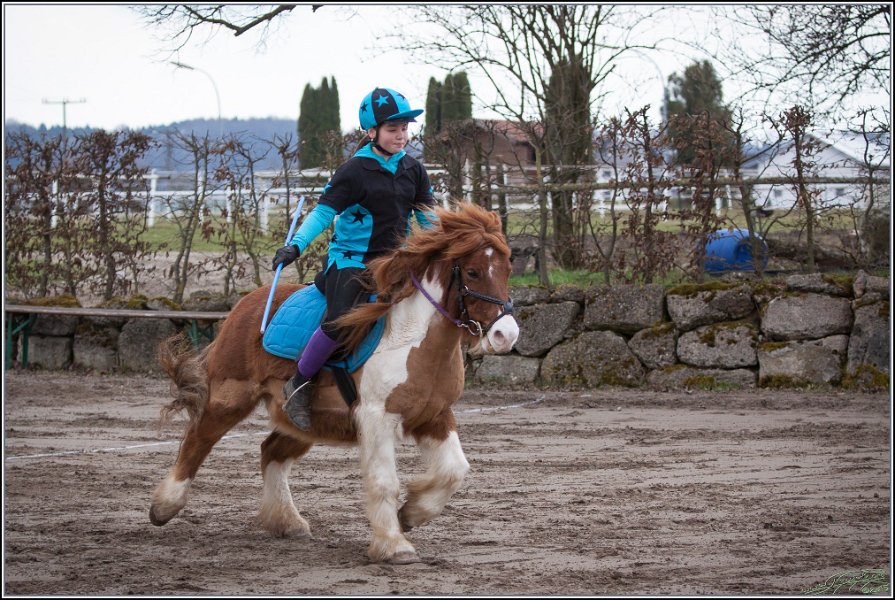 MountedGamesBayrischeMeisterschaft2015 084