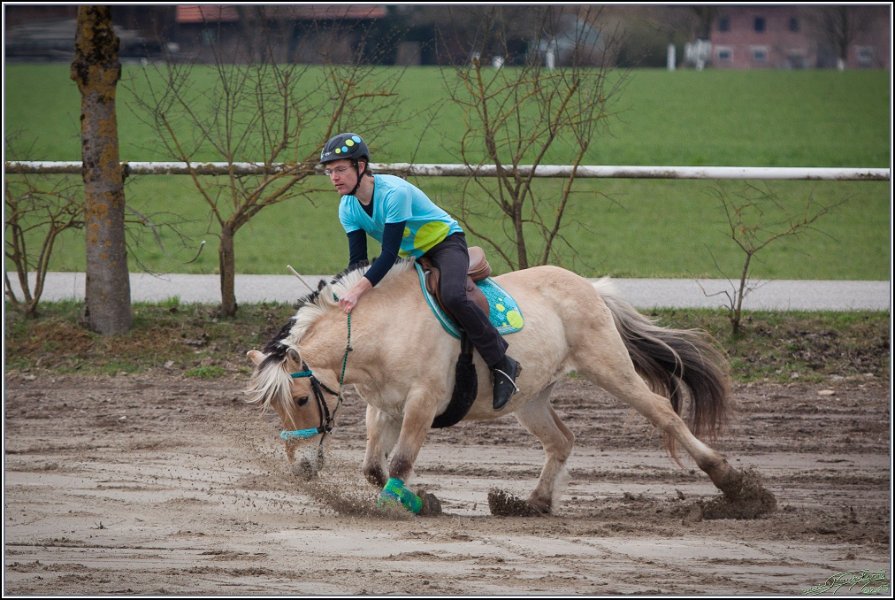 MountedGamesBayrischeMeisterschaft2015 085