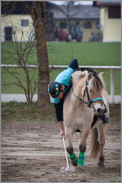 MountedGamesBayrischeMeisterschaft2015 086