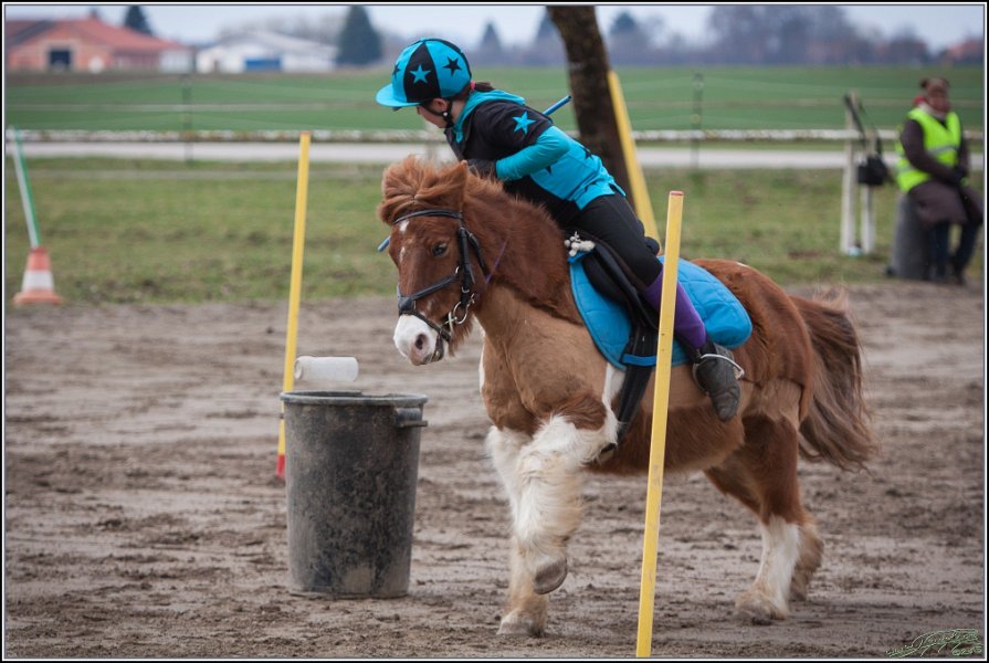 MountedGamesBayrischeMeisterschaft2015 088