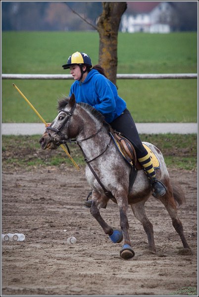 MountedGamesBayrischeMeisterschaft2015 089