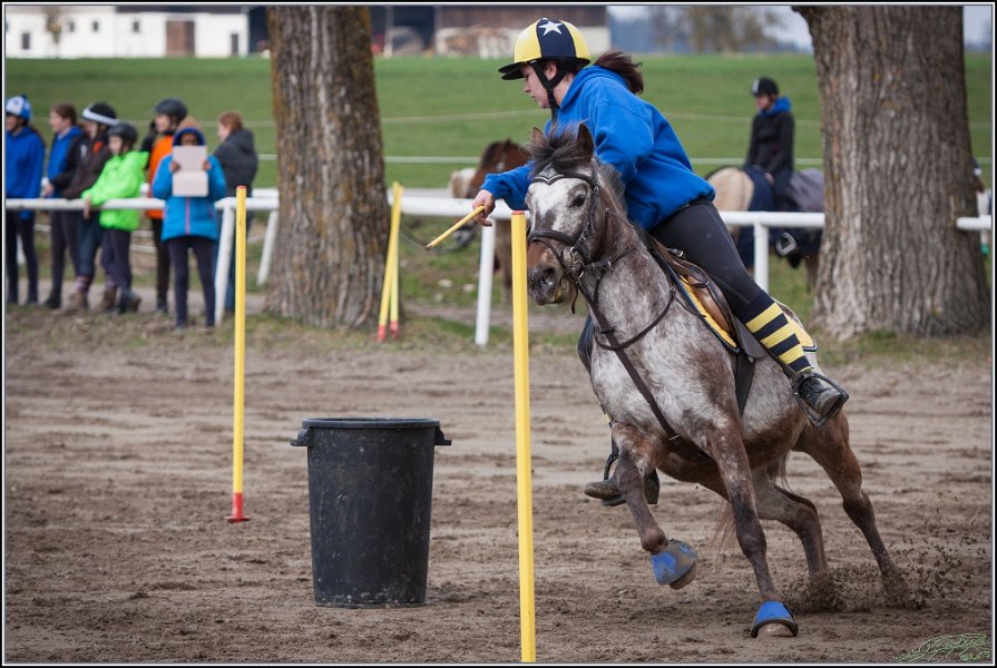 MountedGamesBayrischeMeisterschaft2015 091