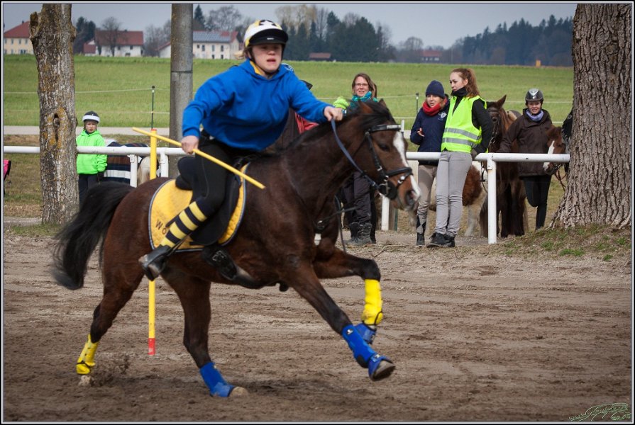 MountedGamesBayrischeMeisterschaft2015 094