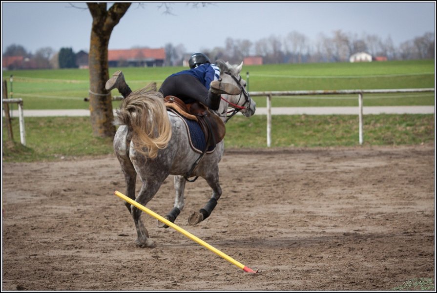MountedGamesBayrischeMeisterschaft2015 098