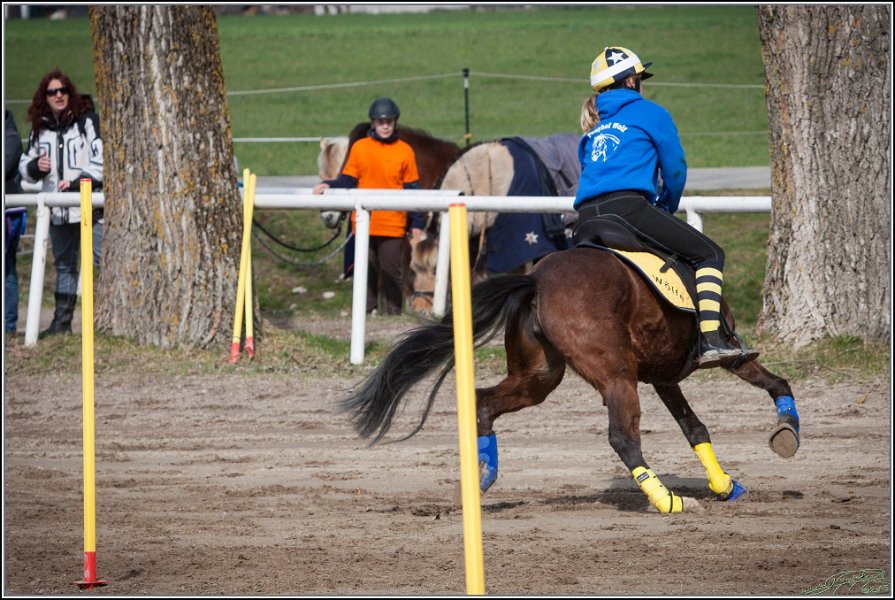 MountedGamesBayrischeMeisterschaft2015 101